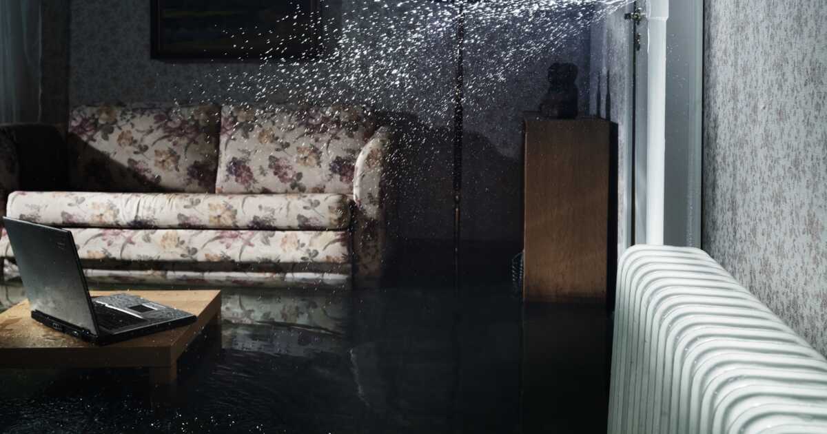 Le salon d'une locataire brusquement inondé par l'eau des
