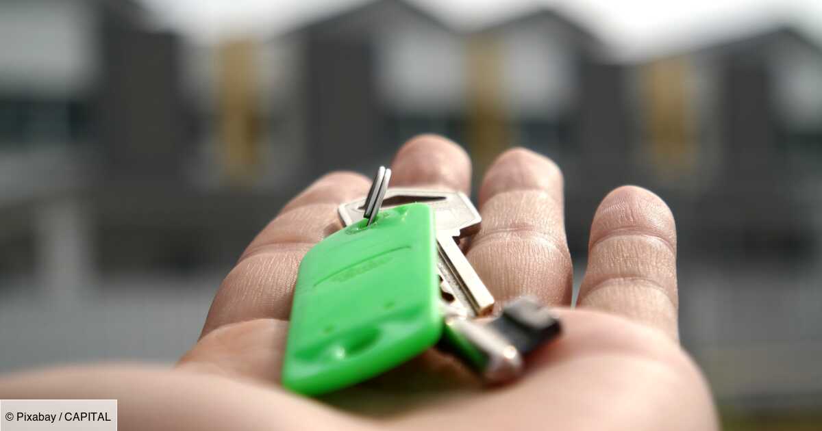 Rental property: Loc’Avantages transformed into a tax credit, a boost for landlords