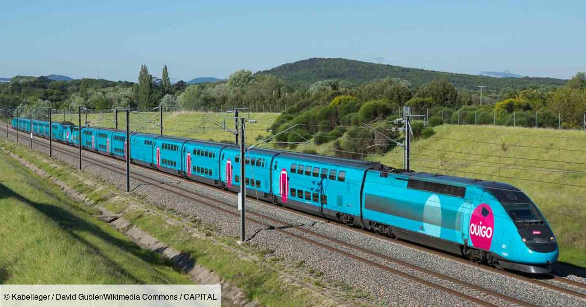 Cafards, insalubrité... la propreté de certains trains Ouigo fait polémique, la SNCF réagit