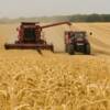 Guerre en Ukraine : l’Europe doit-elle craindre une pénurie de céréales ?