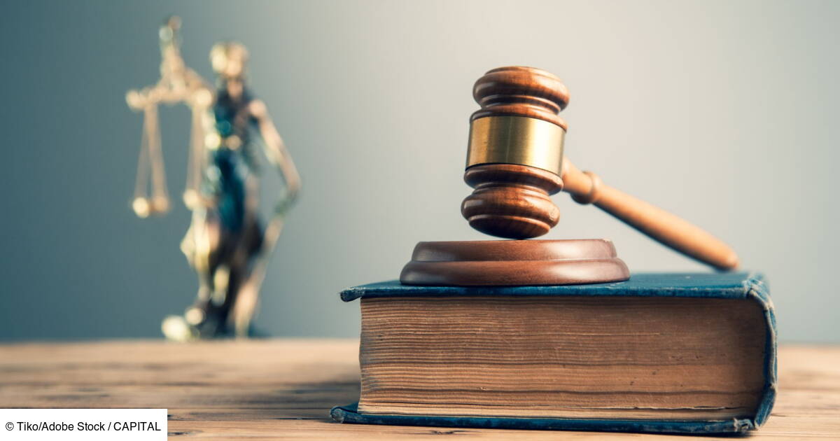 Les parents des youtubeurs Swan & Neo condamnés à de la prison pour escroquerie