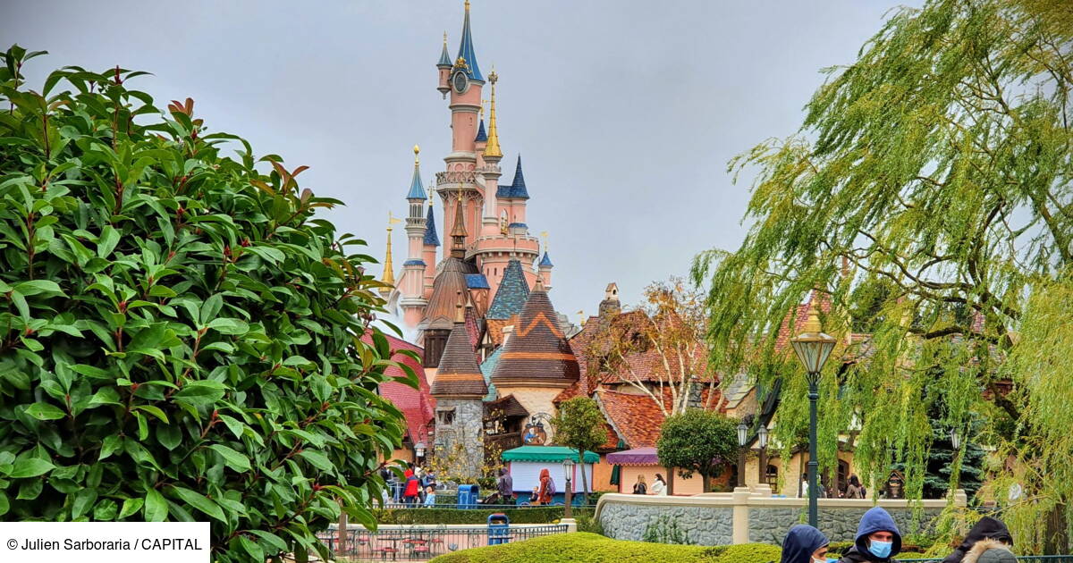 Disney: the return of Bob Iger, the emblematic boss at the helm of the Enchanted Kingdom Disney: the return of Bob Iger, the emblematic boss at the helm of the Enchanted Kingdom