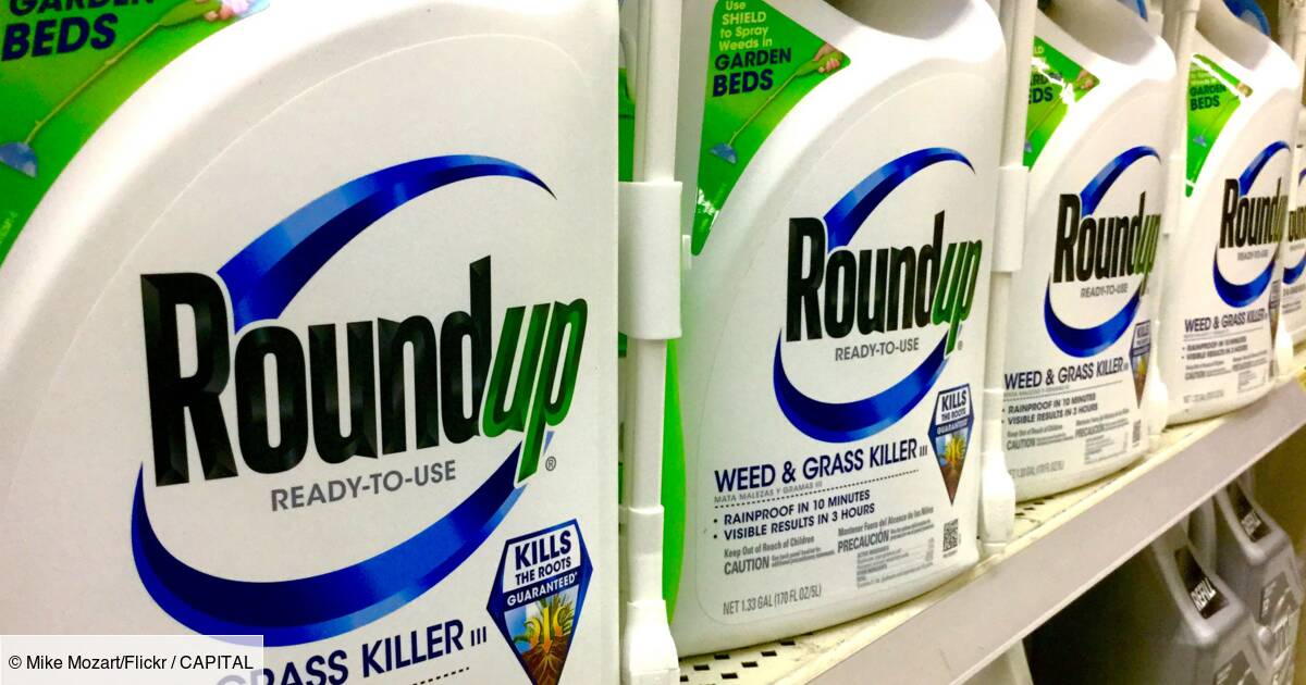 Roundup : la Cour suprême américaine rejette une nouvelle requête de Bayer (Monsanto)