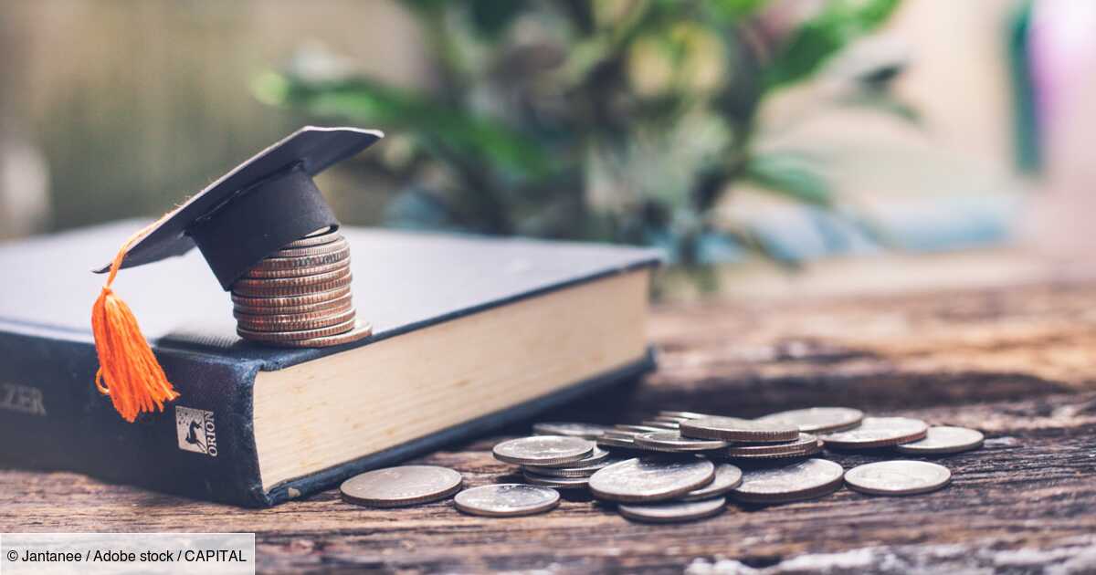 Student loan: characteristics and types