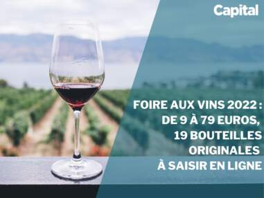 Foire aux vins 2022 : de 9 à 79 euros, 19 bouteilles originales à saisir en ligne