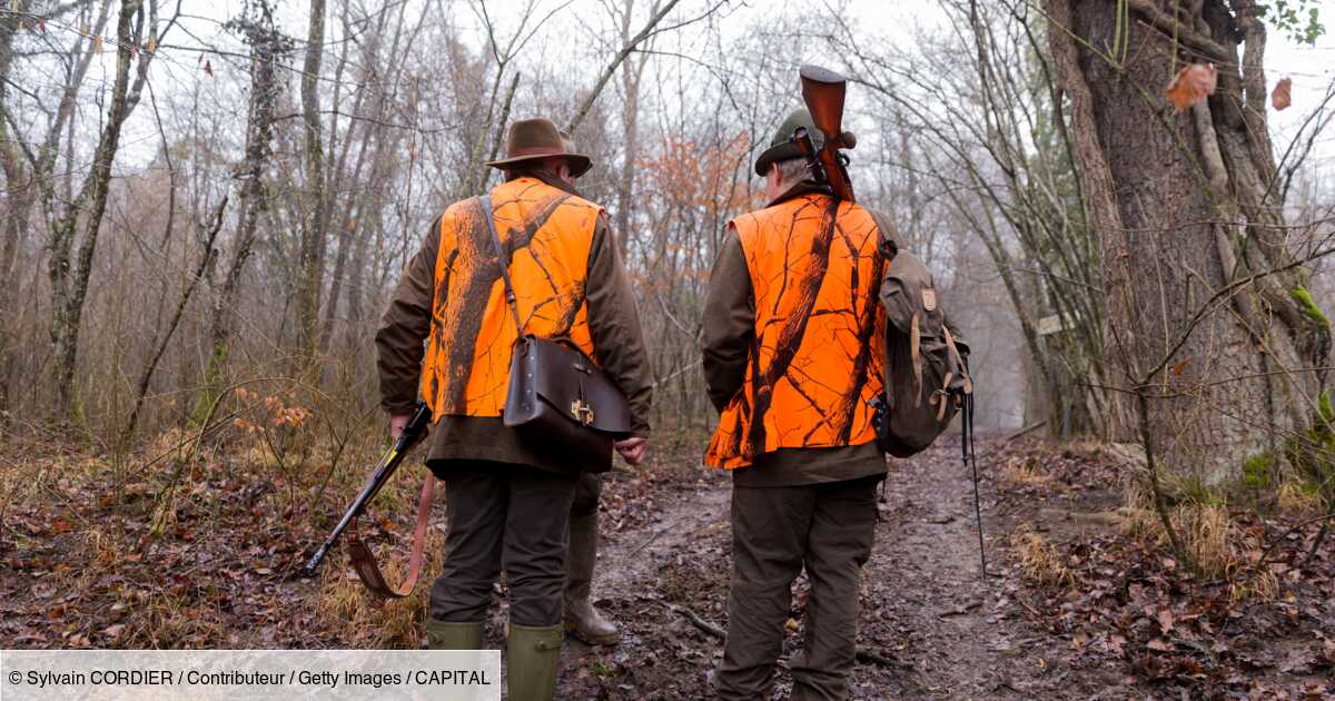 Interdire la chasse le mercredi et le dimanche, « un bon début