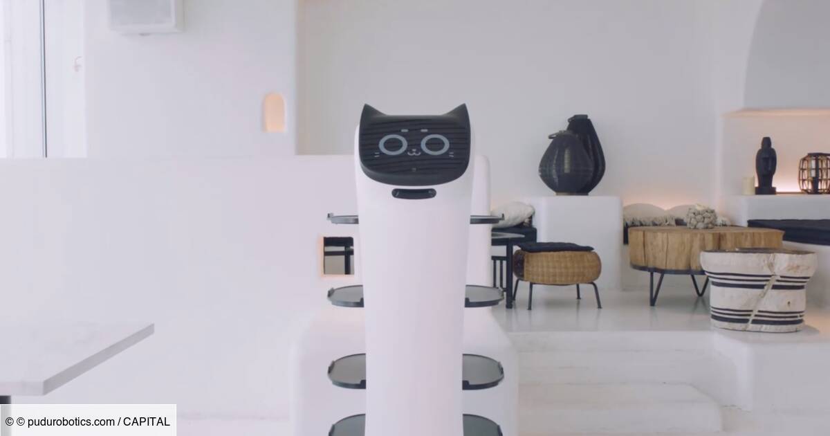 
      Dans ce restaurant rennais, un robot à tête de chat fait le service 