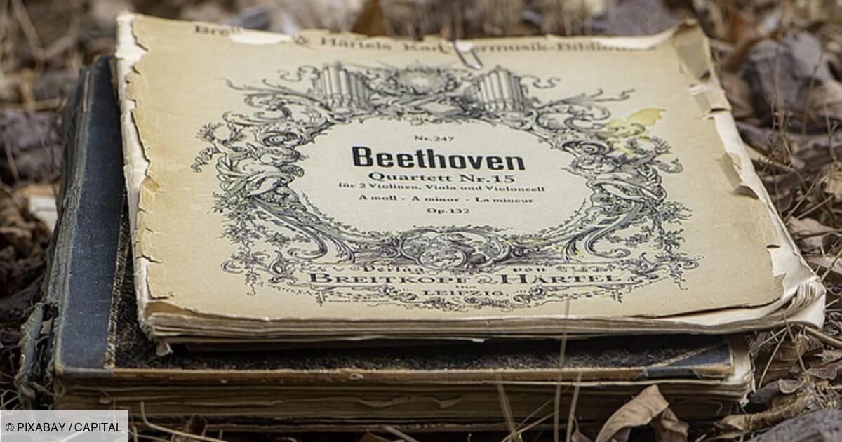 Les surprenantes révélations de l'ADN de Beethoven