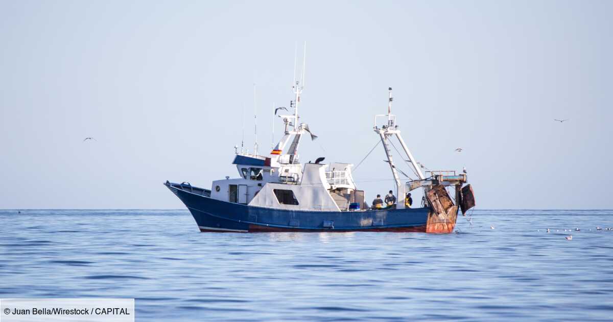 La pêche du thon en France : un sacré phénomène - Peche et