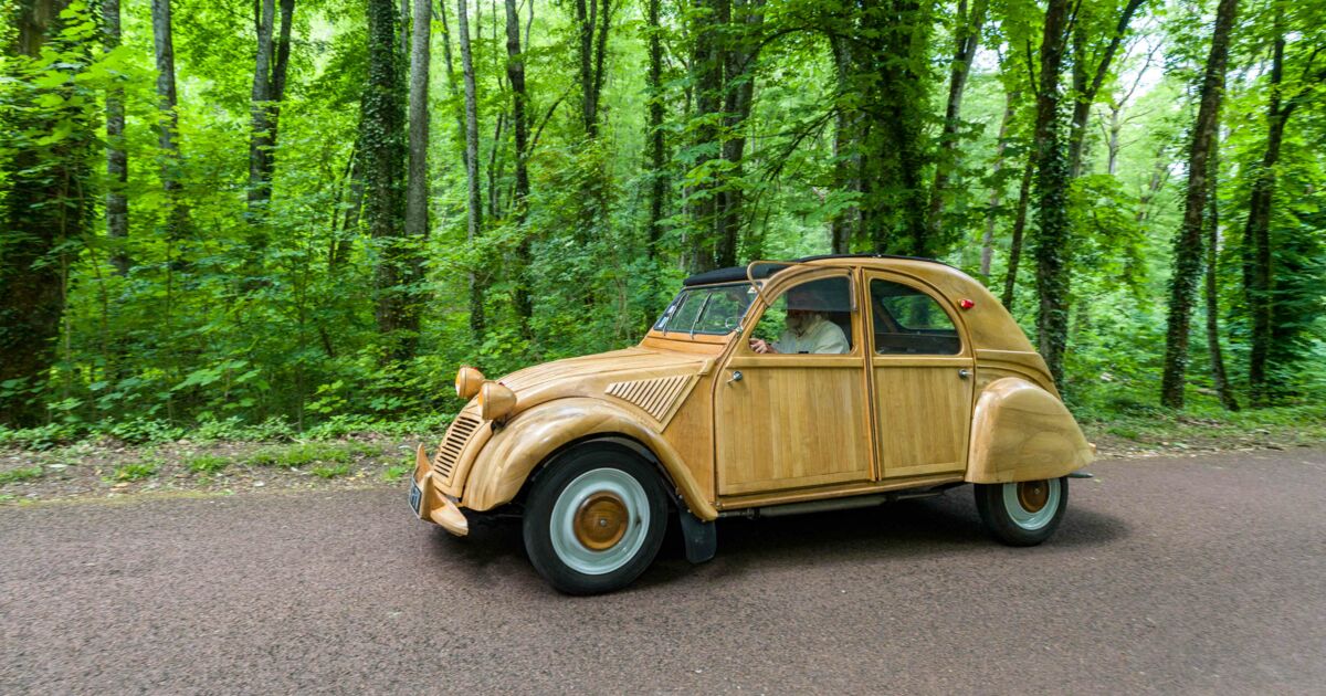 Une Citroën 2CV en bois adjugée à 210 000 euros : « Bien plus qu'une  automobile, c'est une œuvre d'art » - Le Parisien