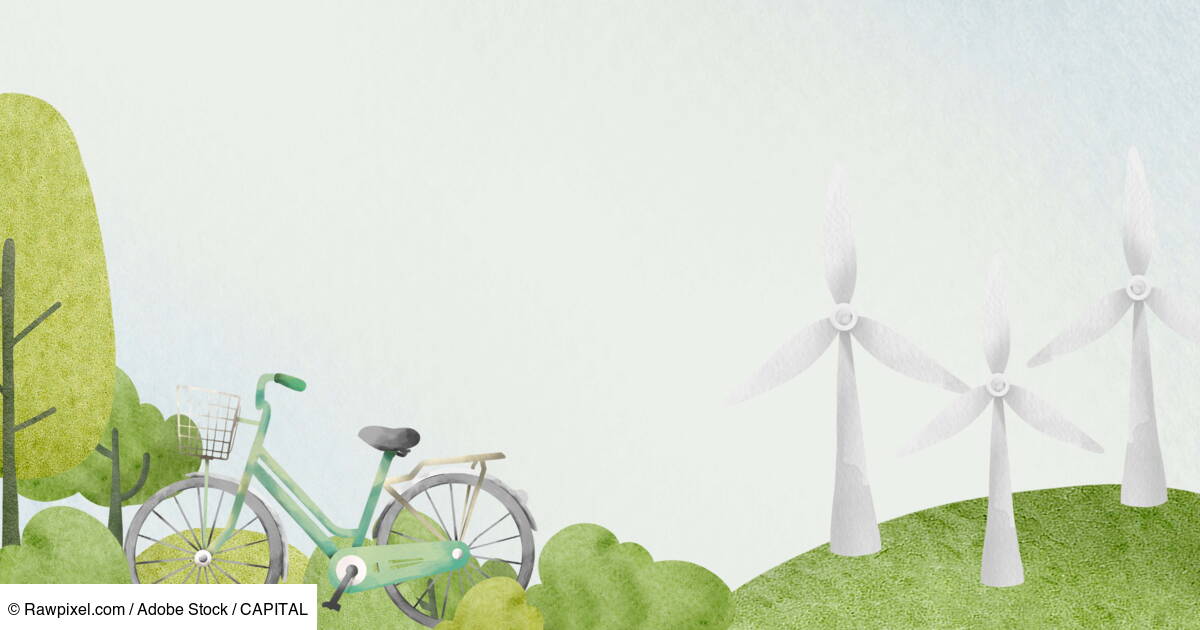 Ces entreprises françaises prouvent qu&rsquo;il est possible de verdir ses pratiques