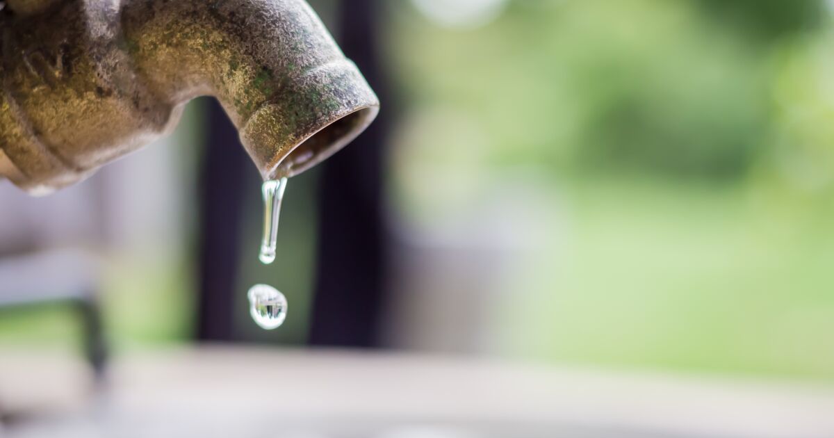 Sécheresse : 8 conseils pour faire des économies d'eau chez soi