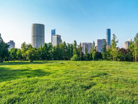 Découvrez le palmarès 2023 des villes les plus vertes de France