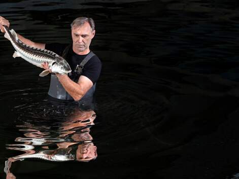 Neuvic : en plongée chez le champion du caviar d'élevage