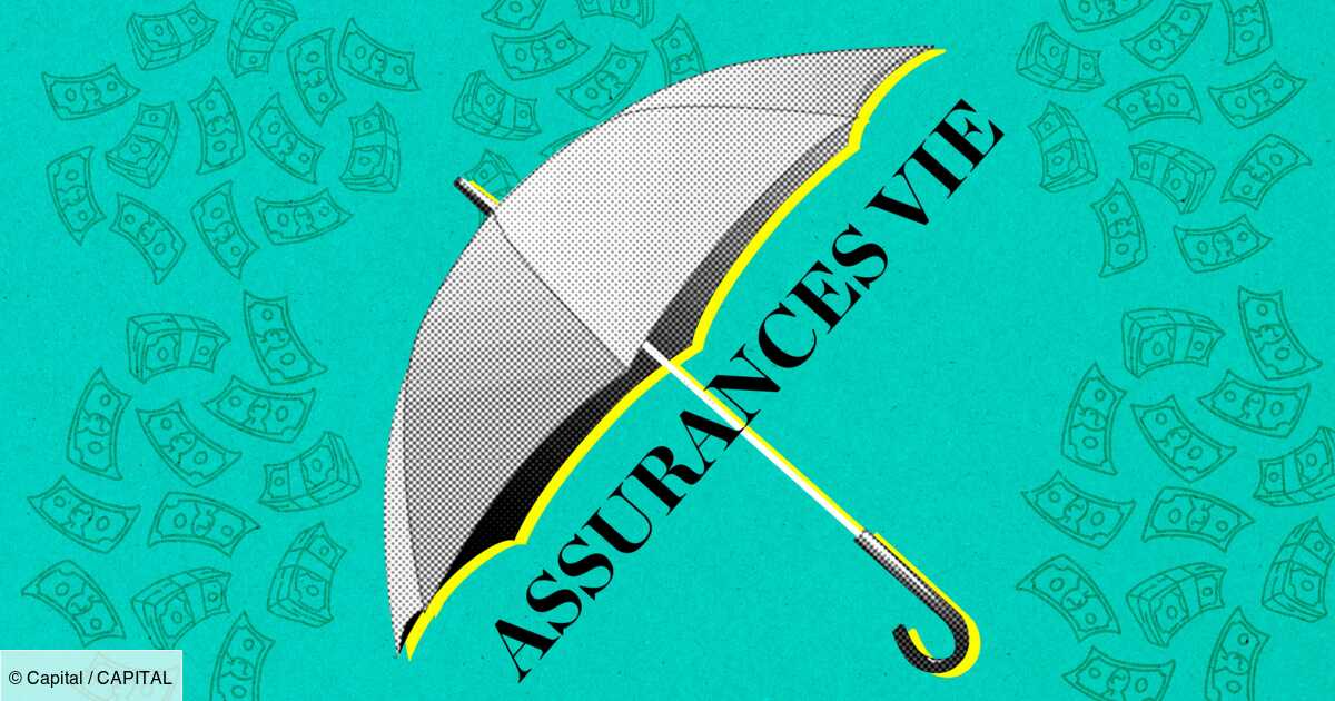 Life insurance: here is the ranking of the best euros funds among more than 1,000 contracts