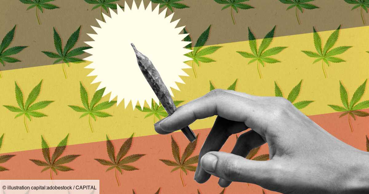 Marihuana-Legalisierung: Lässt sich das deutsche Modell nach Frankreich exportieren?
