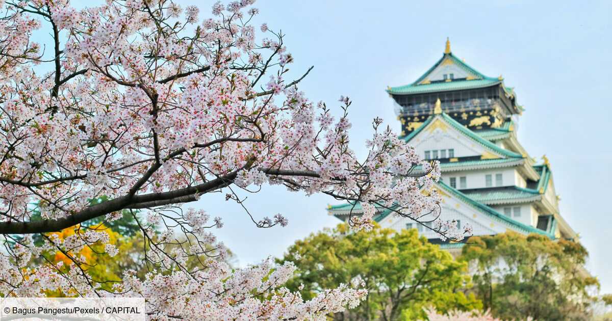 Pourquoi un voyage au Japon pourrait vous coûter bien plus cher à l'avenir