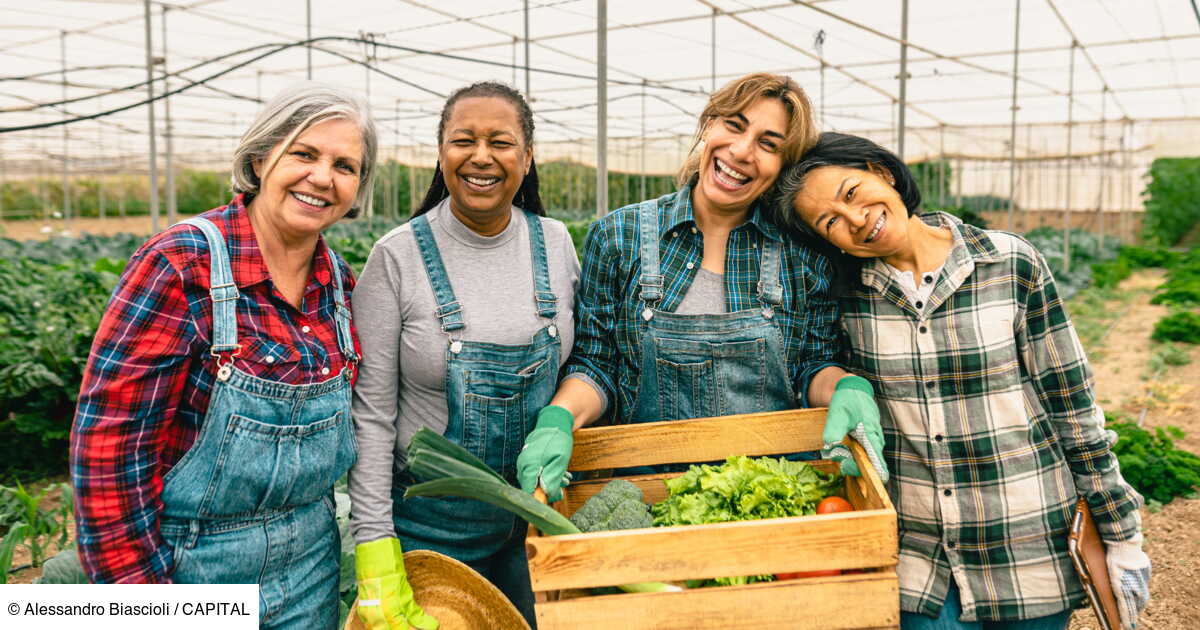 Scop définition, règles et fonctionnement