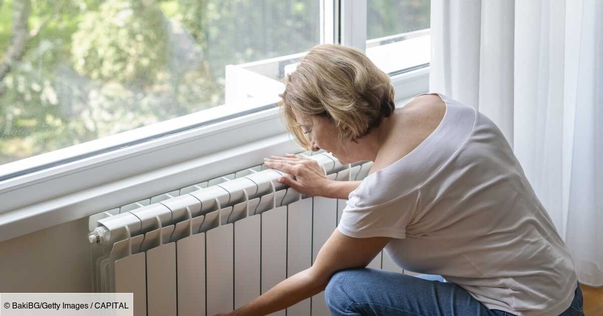 Energy prices: 7 out of 10 French people feel “taken for pigeons” when it comes to their electricity bill