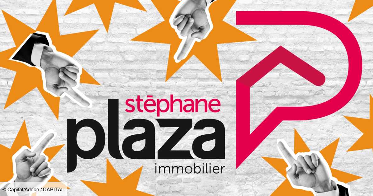 Stéphane Plaza case: dozens of real estate agencies seek to flee its network