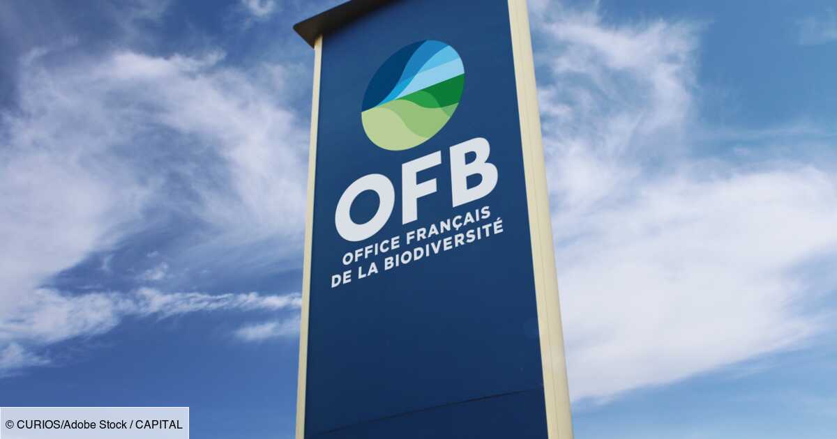 Agriculture : mais au fait, c’est quoi l’Office français de la biodiversité (OFB) ?