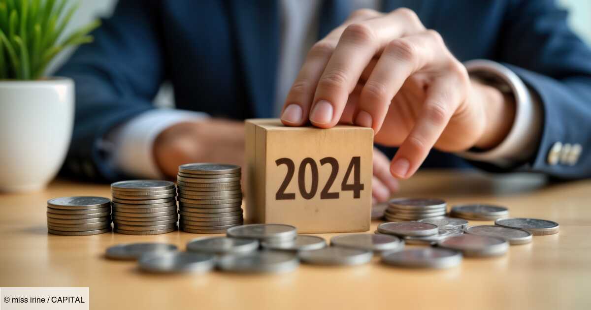 Life insurance: the ranking of the 15 best euros funds of 2024