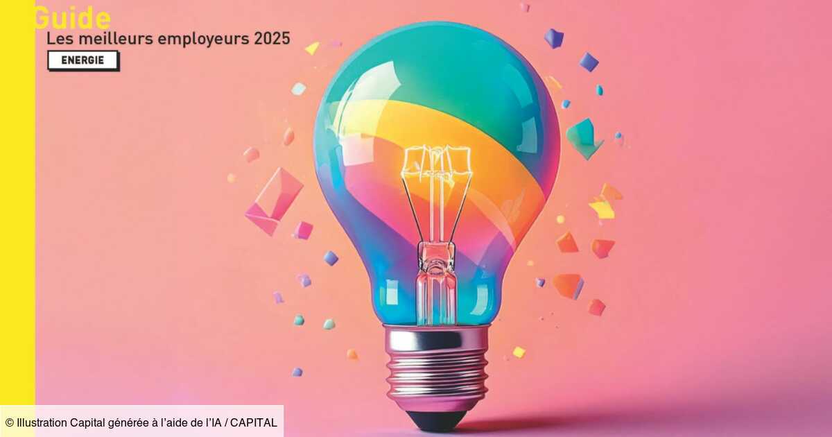 Enedis, GRDF... voici les meilleurs employeurs de l'énergie, selon leurs salariés