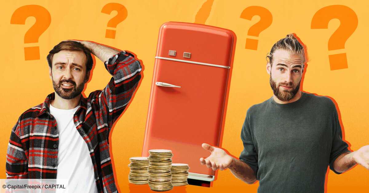 Furnished rental: the fridge breaks down, is it the tenant or the owner to change it?
