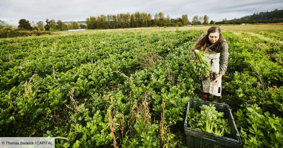 Agroécologie : définition, principes et avantages