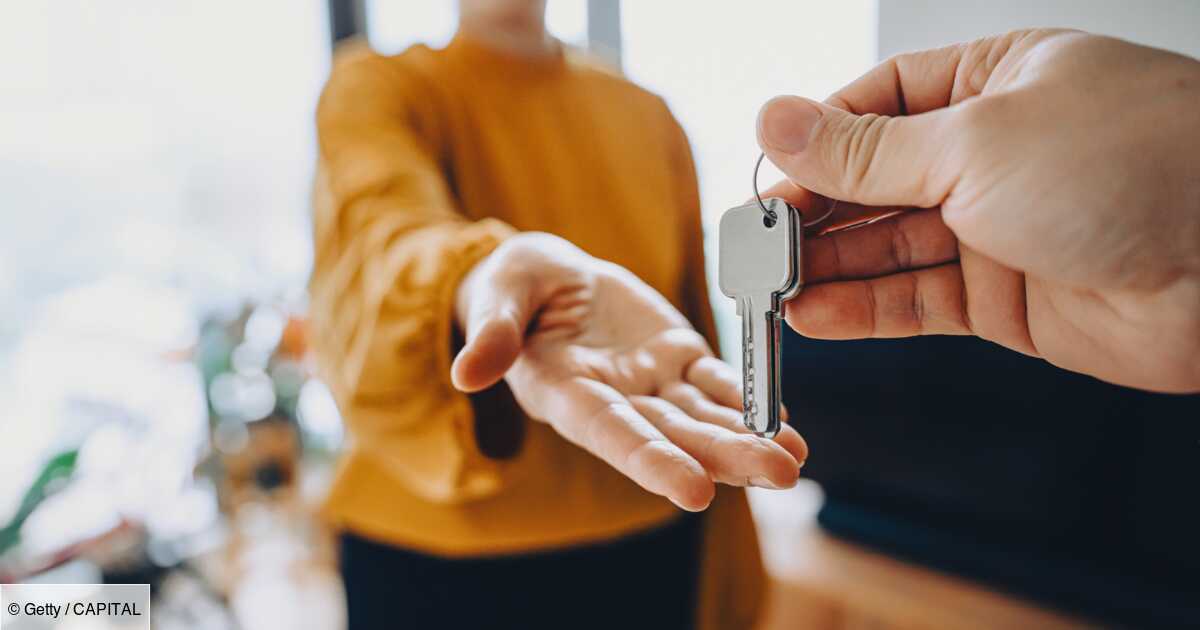Rental investment: a shock tax measure will be offered to the government on June 30