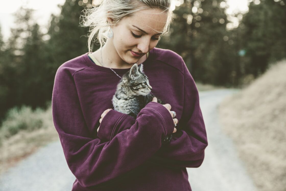 Il Demande A Son Chat Si Il A Faim Sa Reaction Va Vraiment Vous Faire Rire