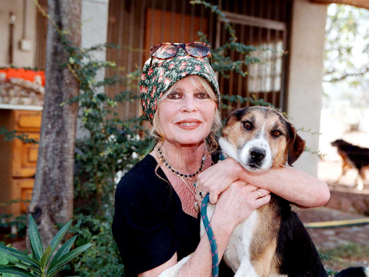 Après la mort de Brigitte Bardot, les dons à sa fondation explosent