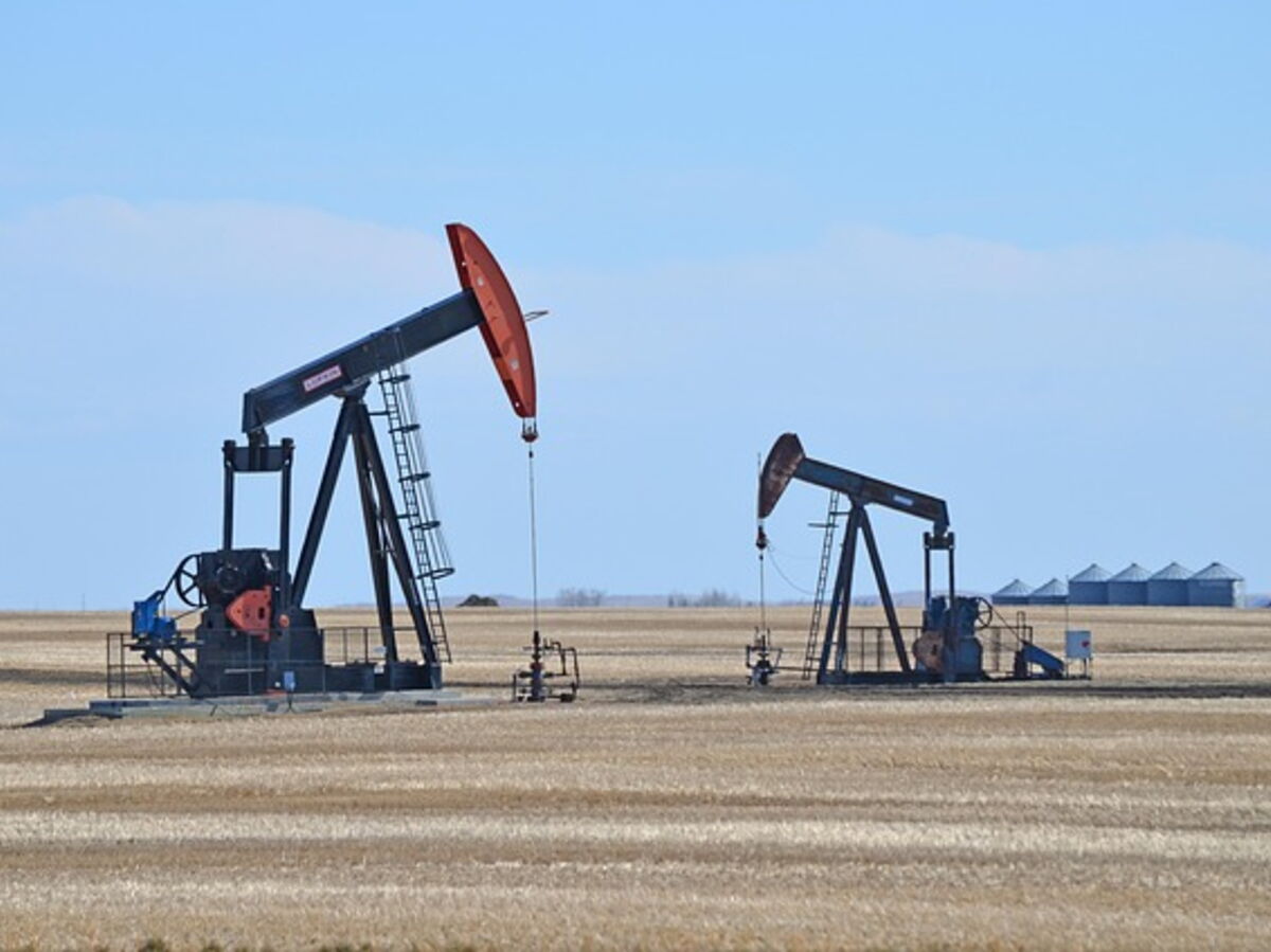 Pétrole : les Émirats arabes unis quittent l'Opep, quelles conséquences pour le marché mondial ?
