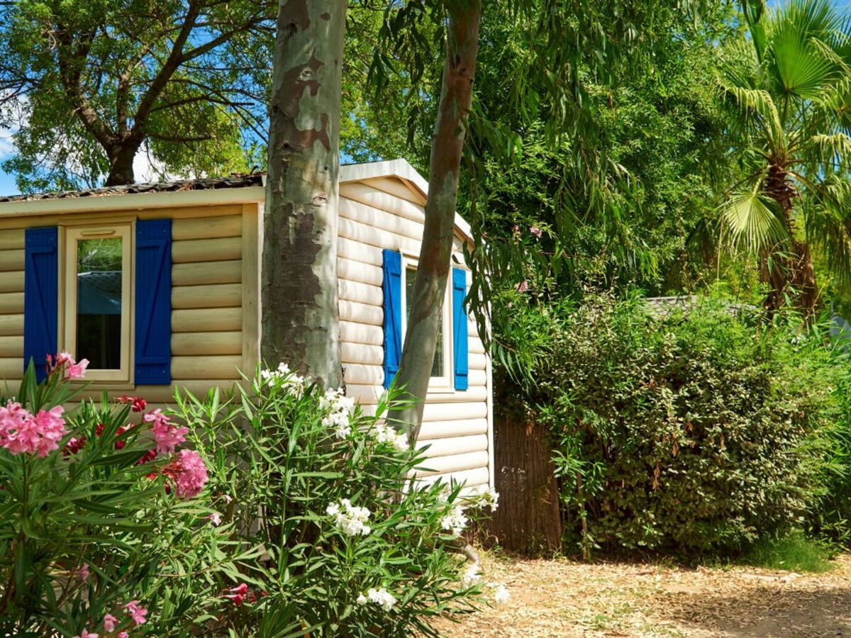 Tout ce qu’il faut savoir avant d’acheter un mobil-home