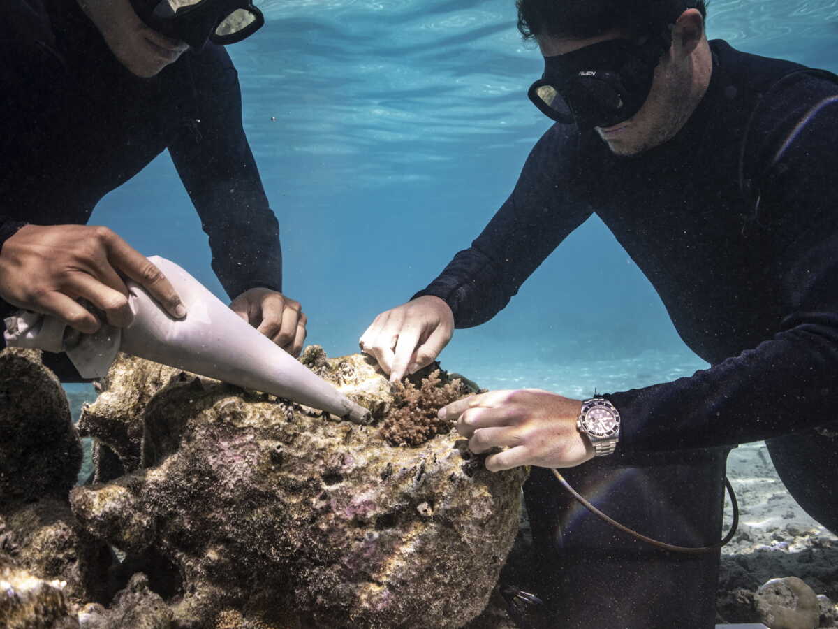Horlogerie : les grandes maisons accélèrent leur virage ecoresponsable