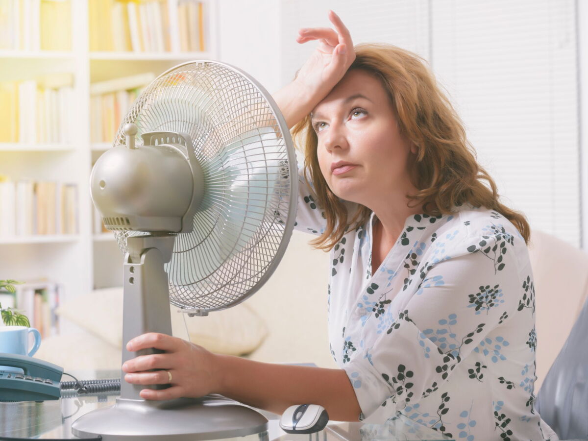 Canicule : comment les vagues de chaleur transforment l'immobilier en France