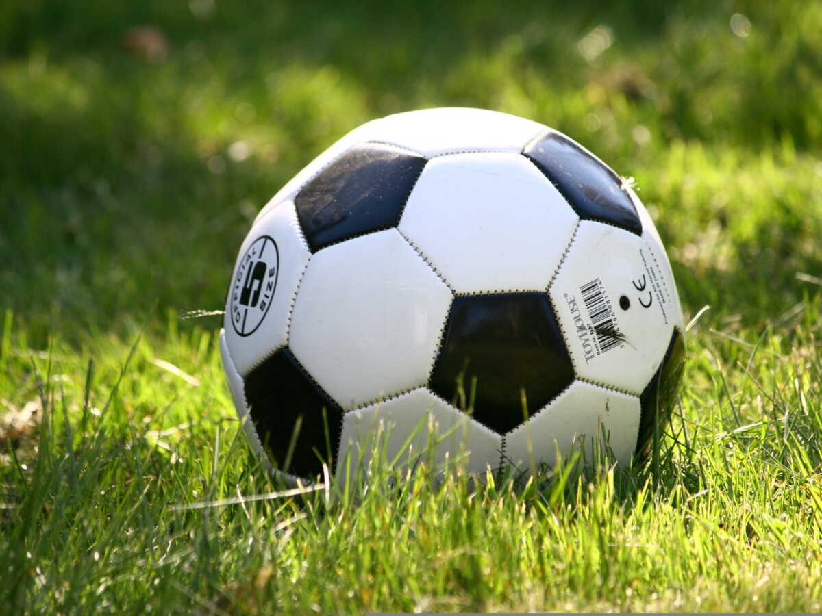 Coupe du monde : la Fifa vend des morceaux de pelouse de la finale à des centaines d’euros