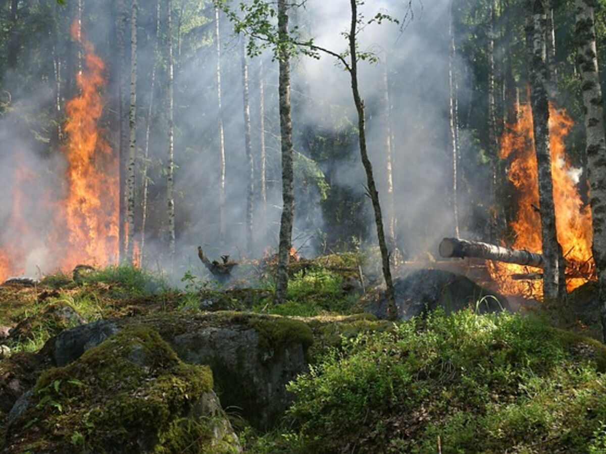 Incendies en Gironde : une «cellule de crise économique» va être ouverte pour soutenir les entreprises, selon le maire de Bordeaux