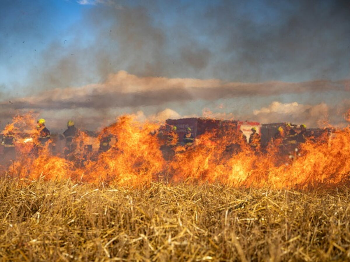 Face aux incendies, comment l'A400M vient renforcer la lutte contre le feu