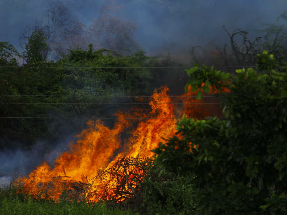 Entreprises ravagées, activité suspendue : le lourd bilan économique des incendies