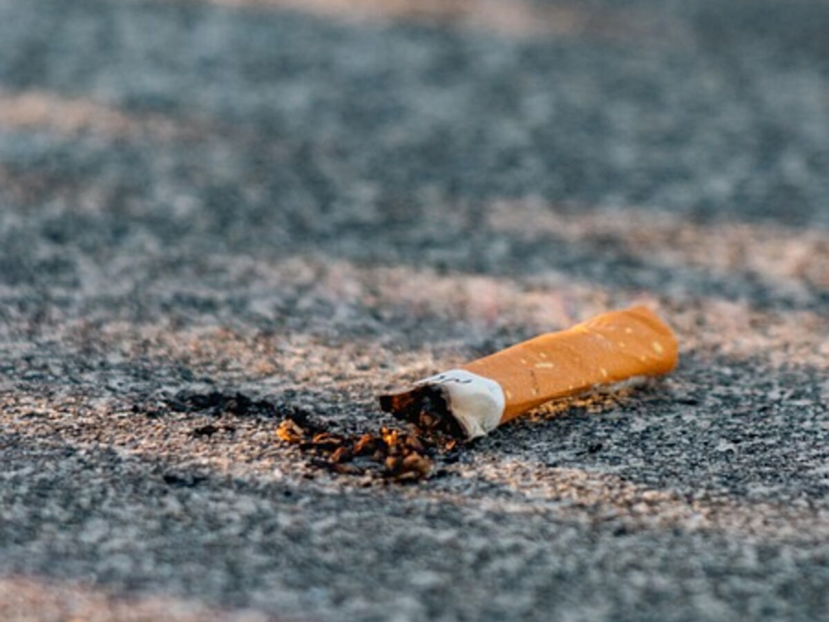 Cet ancien ministre de la Santé veut taxer les fabricants de cigarettes pour lutter contre les feux de forêt