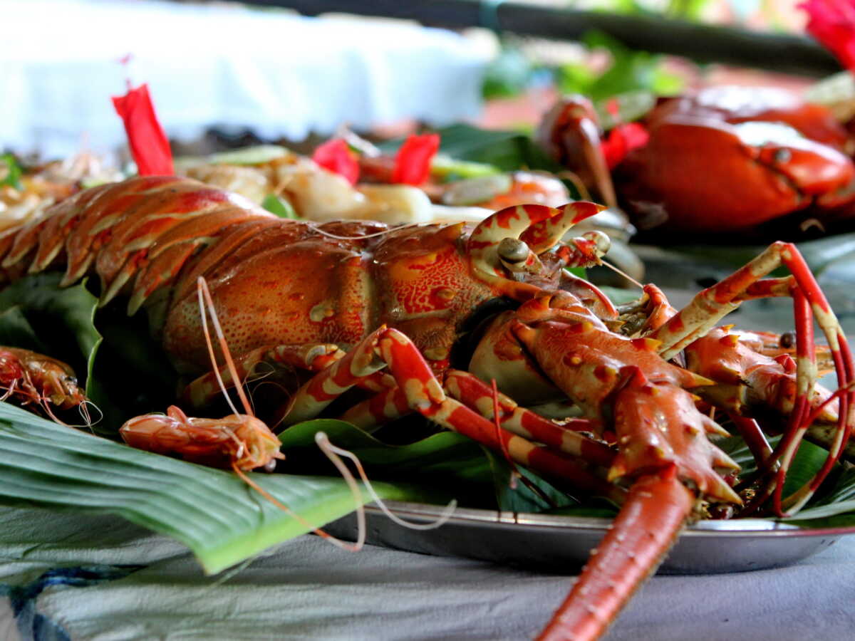 Il paie 300 euros une langouste au restaurant pour la sauver du court-bouillon
