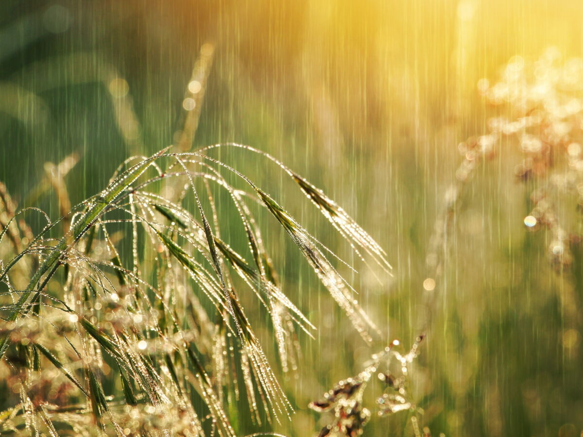 Sécheresse : comment le Kazakhstan essaye de déclencher des pluies artificielles