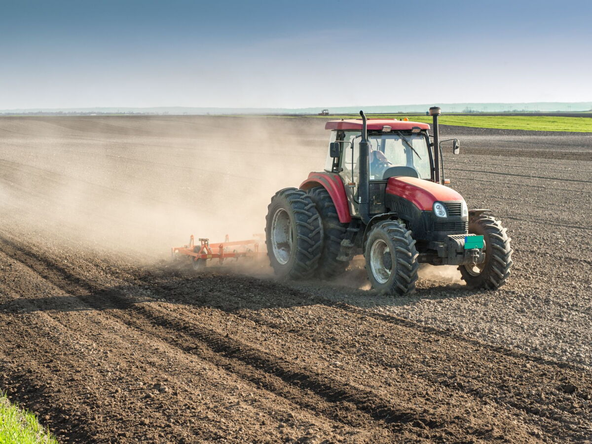 Loi d’urgence agricole : les Sages valident la très grande majorité du texte, même la réintroduction temporaire des pesticides interdits