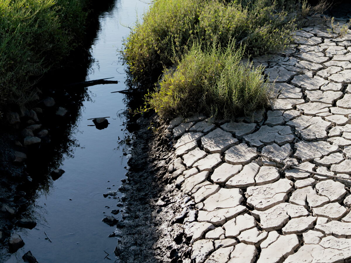 « Seulement 6 centimètres d’eau » : le niveau du Rhin fait exploser les coûts du fret