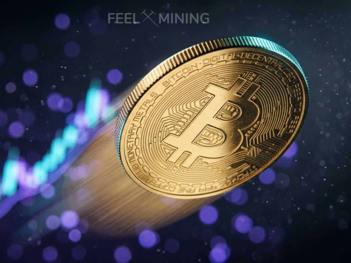 Bitcoin sous 80 000 dollars : «l'été a consommé ses moteurs, Donald Trump en construit d'autres !»