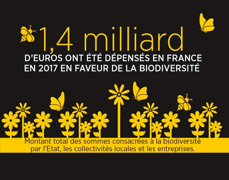 Plus d'un milliard d’euros dépensé en France pour la biodiversité