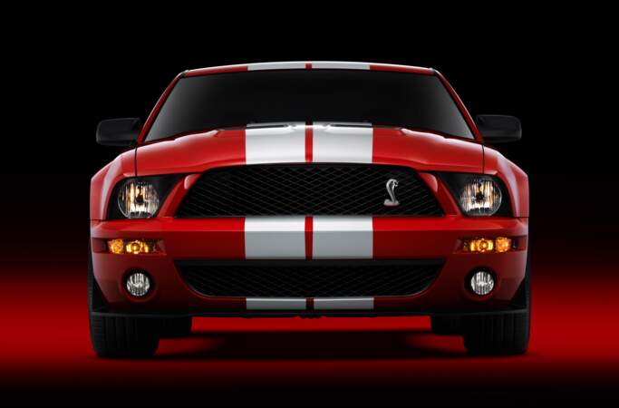 2007 : Ford Shelby GT500