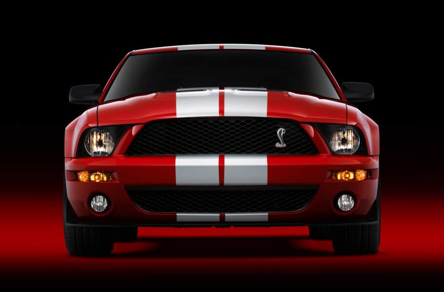 2007 : Ford Shelby GT500