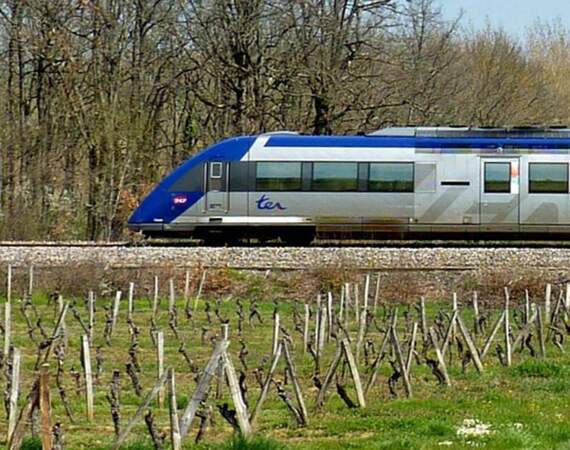 Le TER Oloron-Sainte-Marie à Bedous : 102 millions d’euros